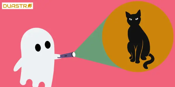 Superstitious Beliefs for Creativity and Inspiration Unlocking Artistic Flow
